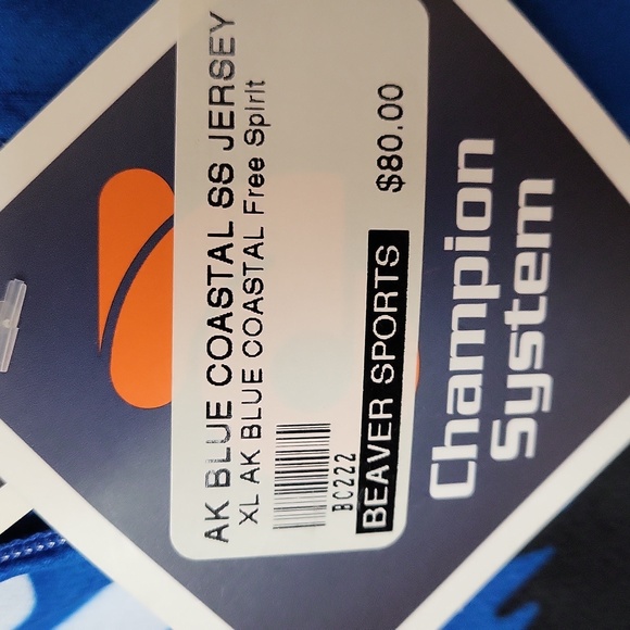 Cycle Jersey,Men's L, Costal Blue, Alaska,Champion System - Picture 7 of 7